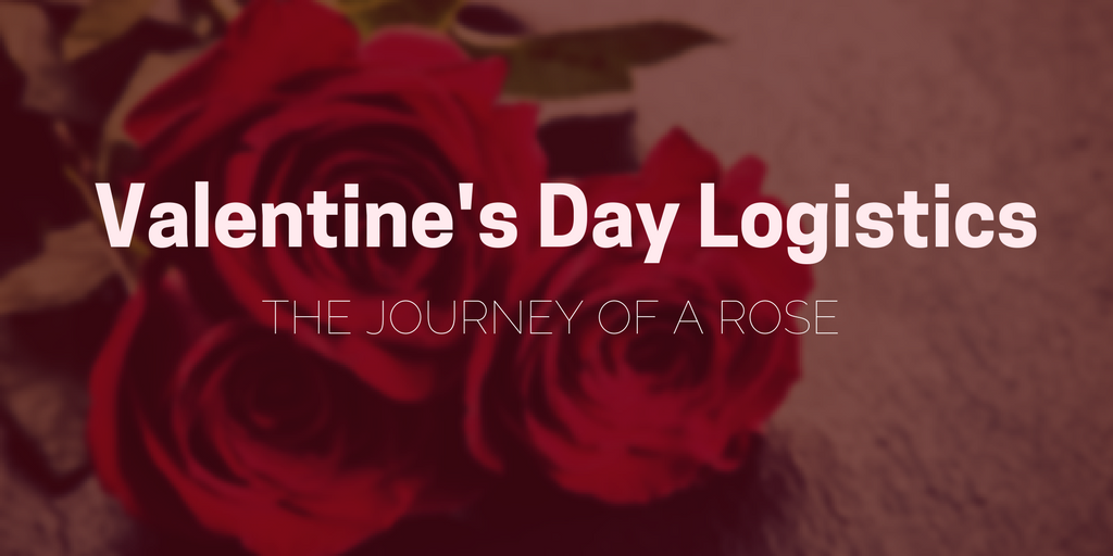 Valentine's Day Logistics