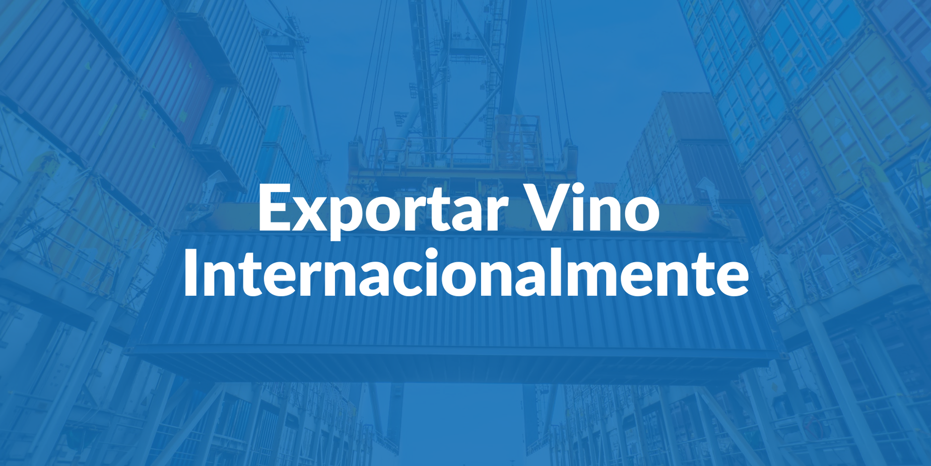 Cómo exportar vino internacionalmente