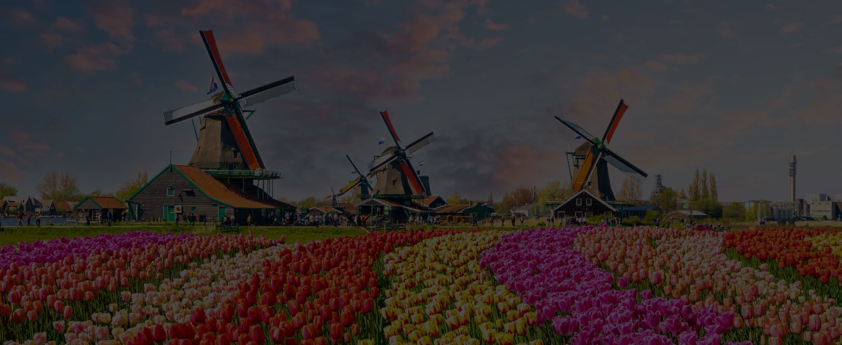 iContainer goes to Netherlands-Header.jpg