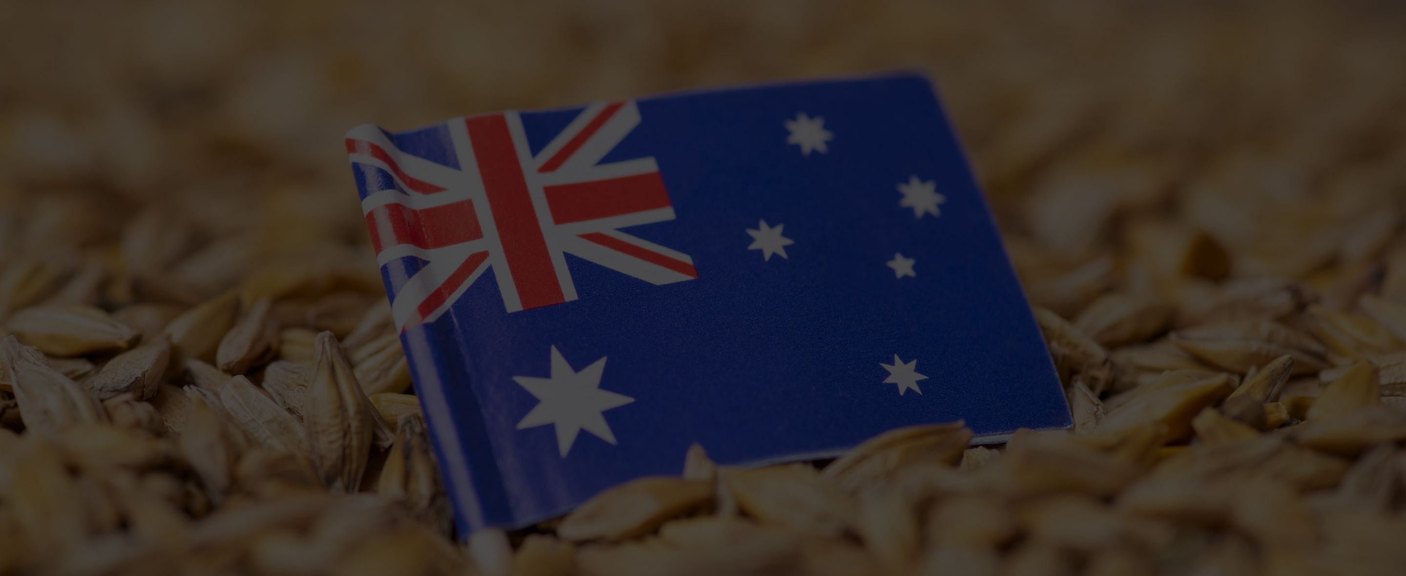 Importing to shop australia