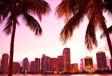 Miami - Thumbnails.jpg