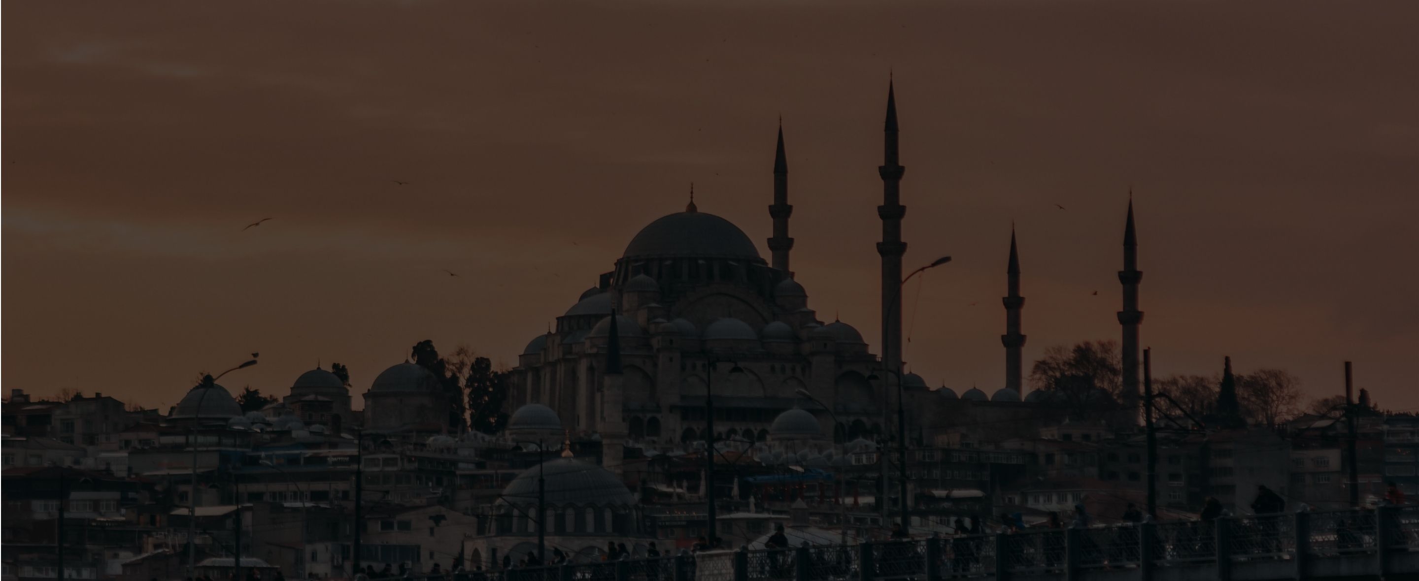Turkey-Header.jpg
