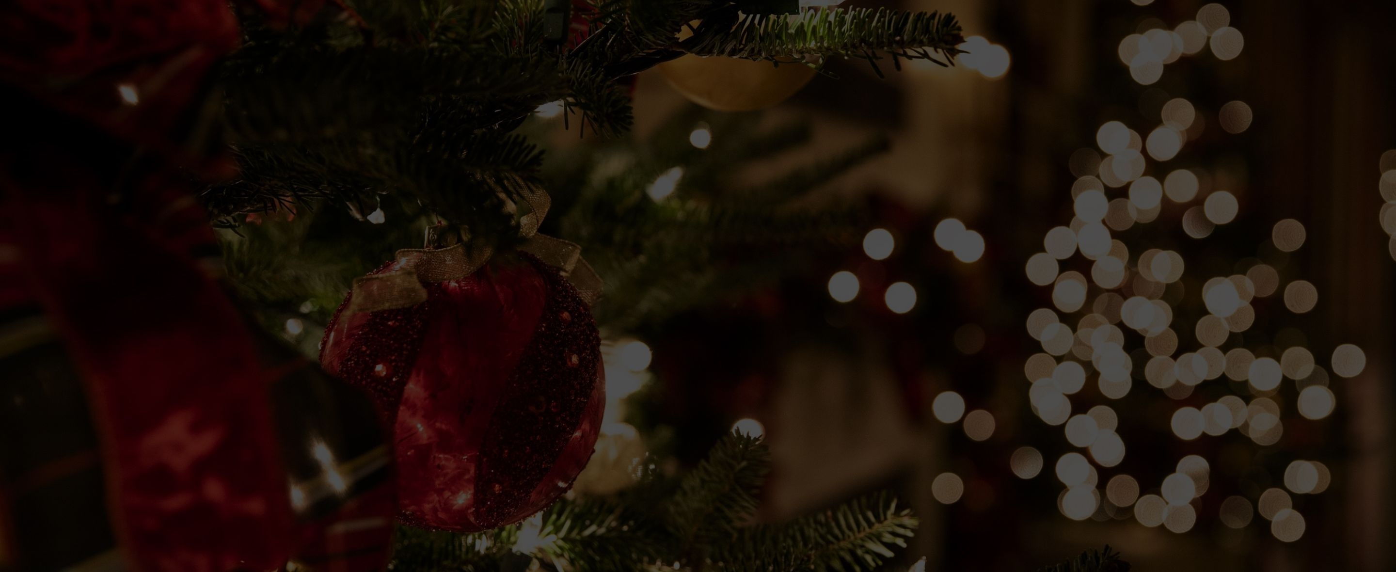 Holiday Season- Header.jpg